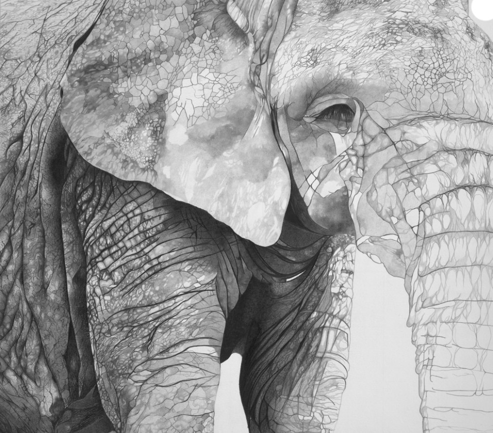 Graphite Elephant